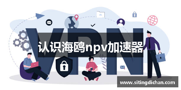 认识海鸥npv加速器